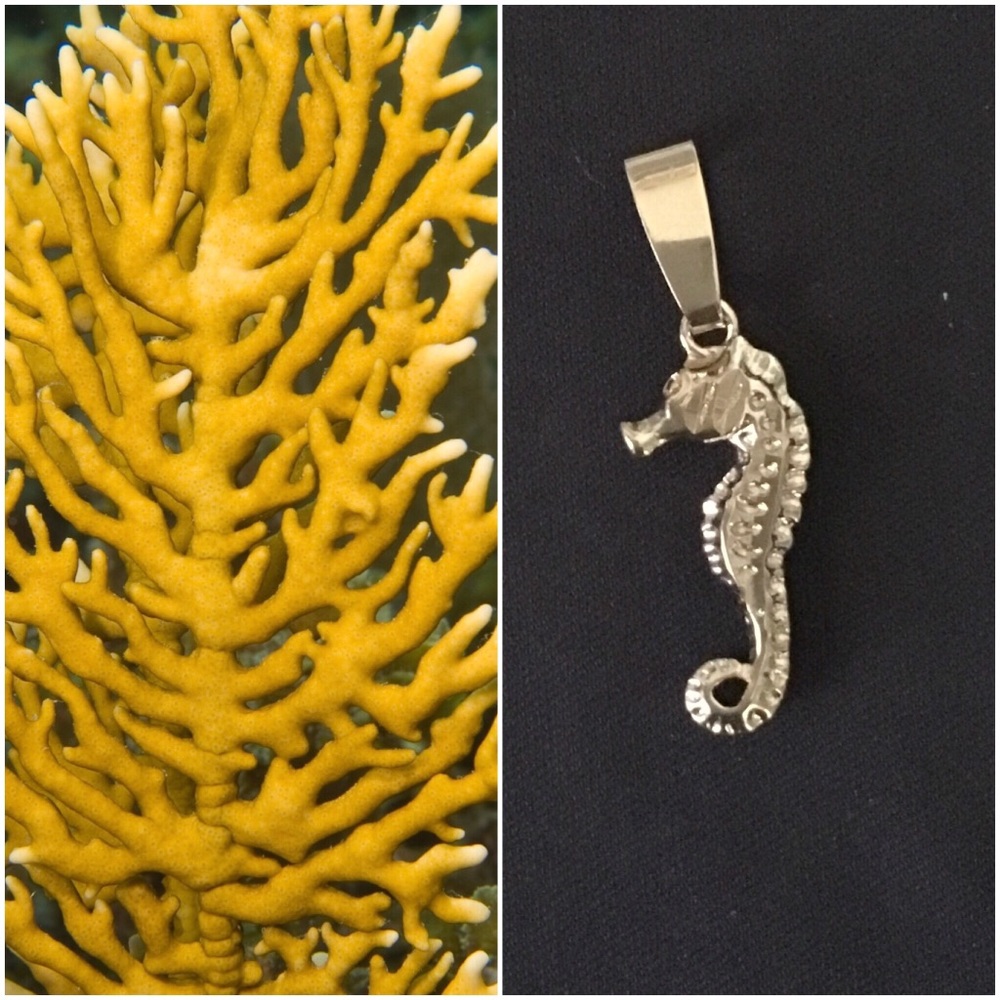 Seahorse pendant